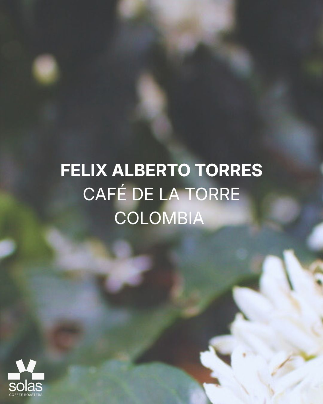 Colombia | Felix Alberto Torres