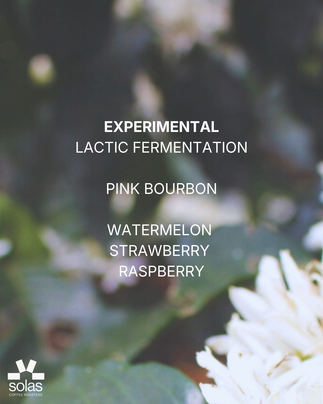 Colombia | Felix Alberto Torres