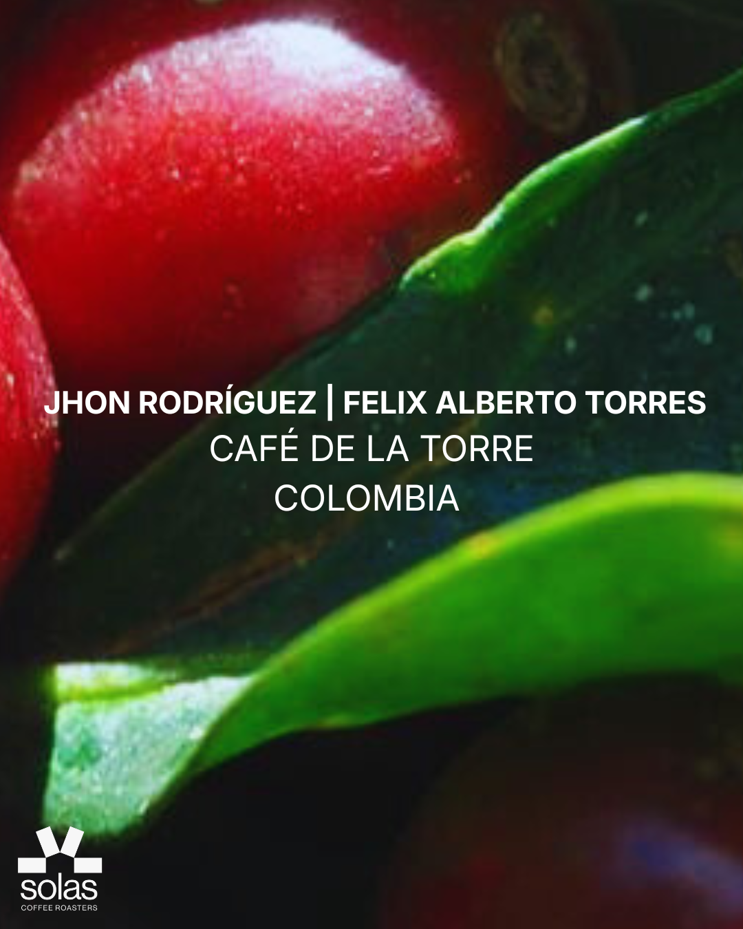 Colombia | Jhon Rodrígues & Felix Alberto Torres