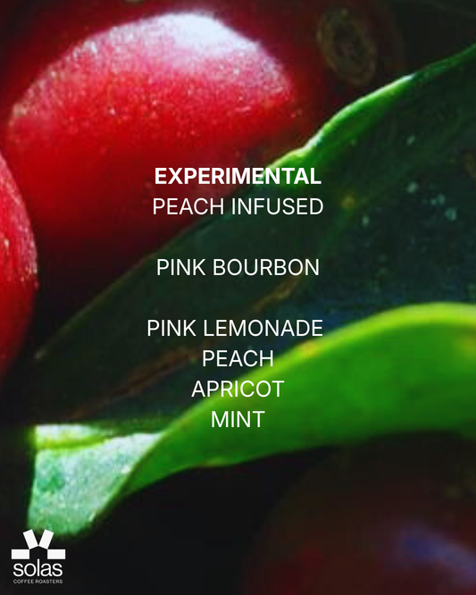 Colombia | Jhon Rodrígues & Felix Alberto Torres