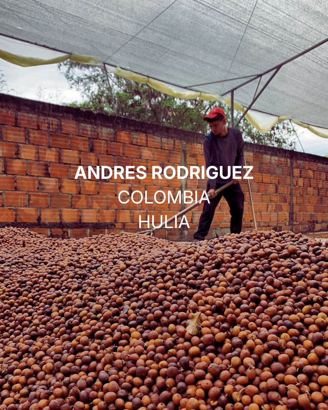 Colombia | Andres Rodriguez